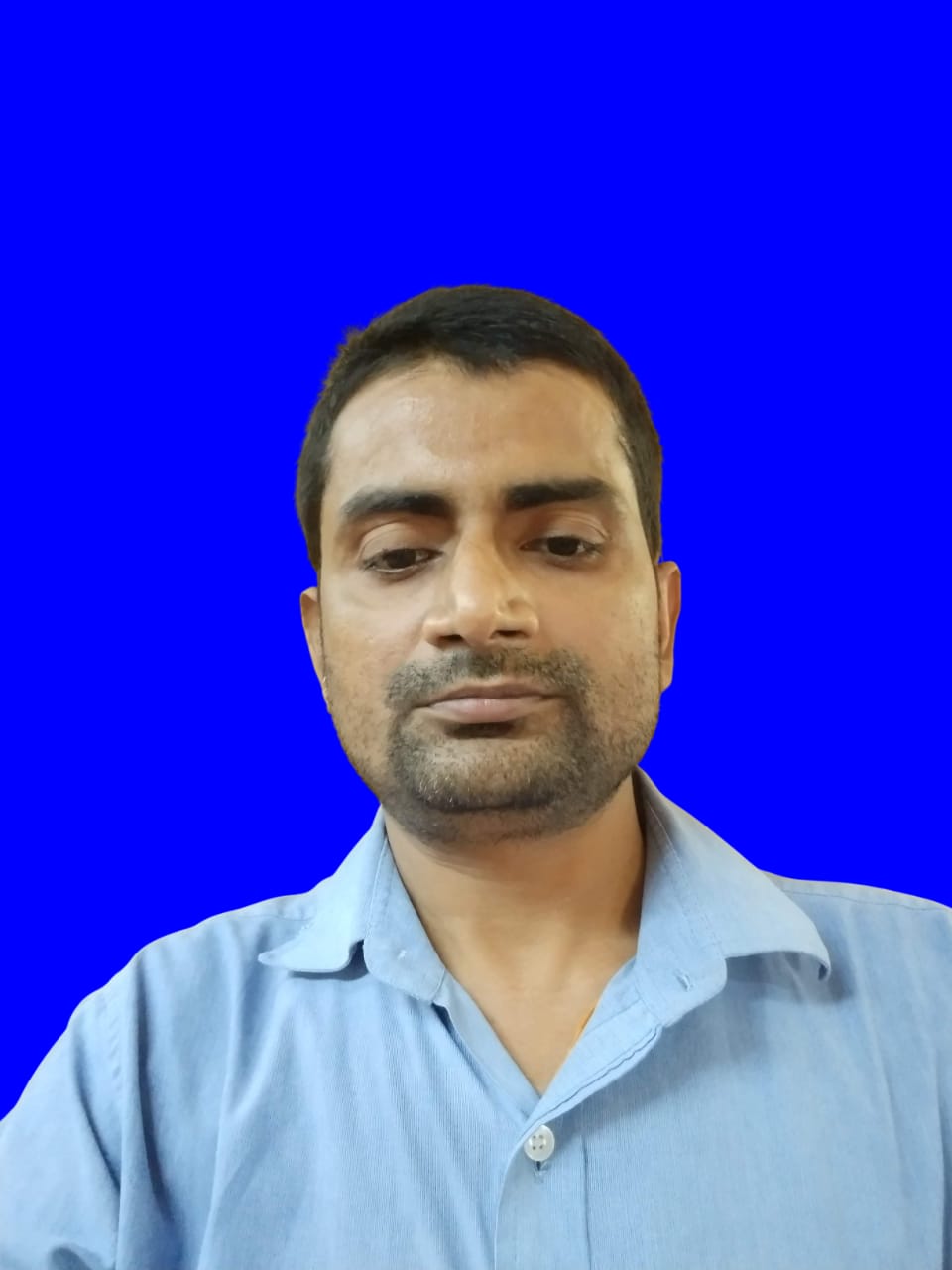 Team Member